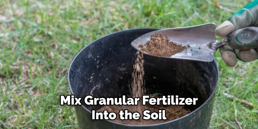 Mix Granular Fertilizer Into the Soil