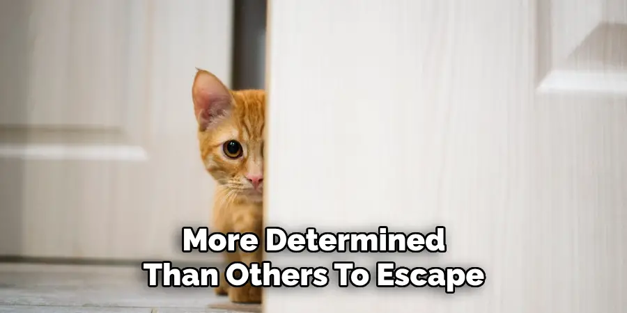 More Determined Than Others To Escape
