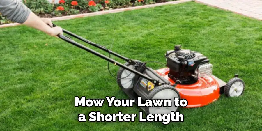 Mow Your Lawn to a Shorter Length