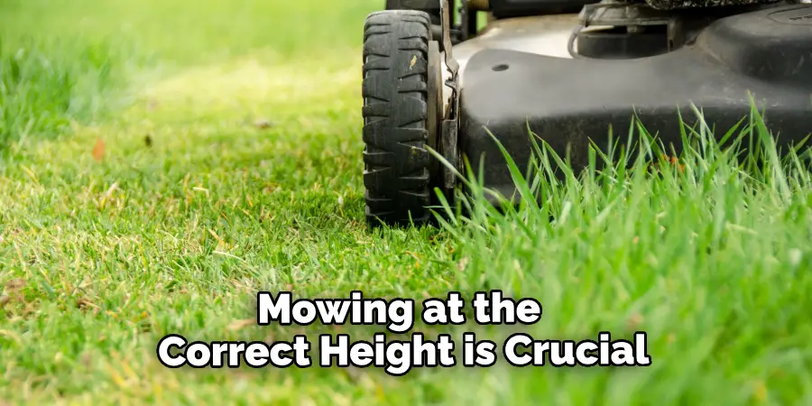 Mowing at the Correct Height is Crucial