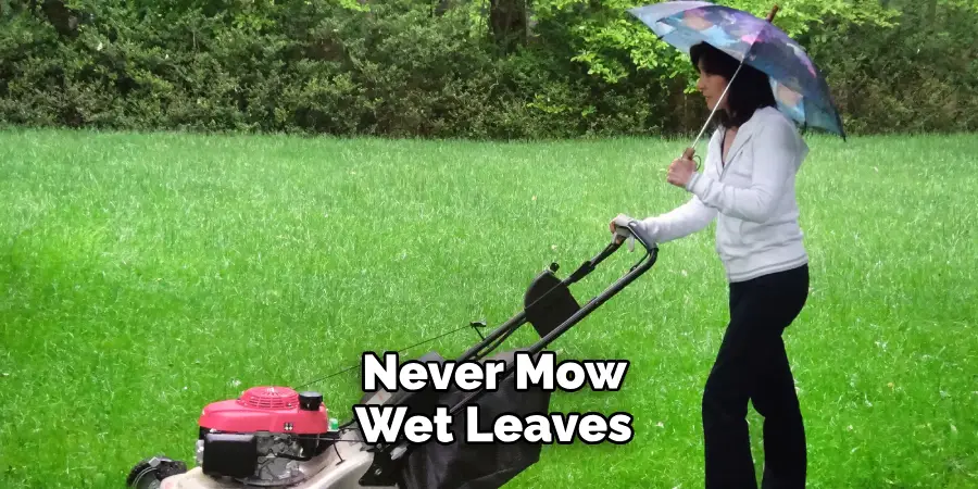  Never Mow Wet Leaves