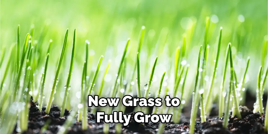 New Grass to Fully Grow