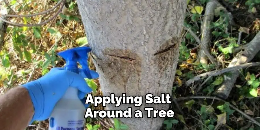 Applying Salt Around a Tree