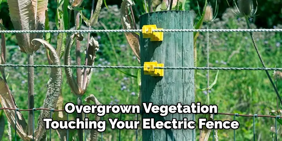 Overgrown Vegetation Touching Your Electric Fence