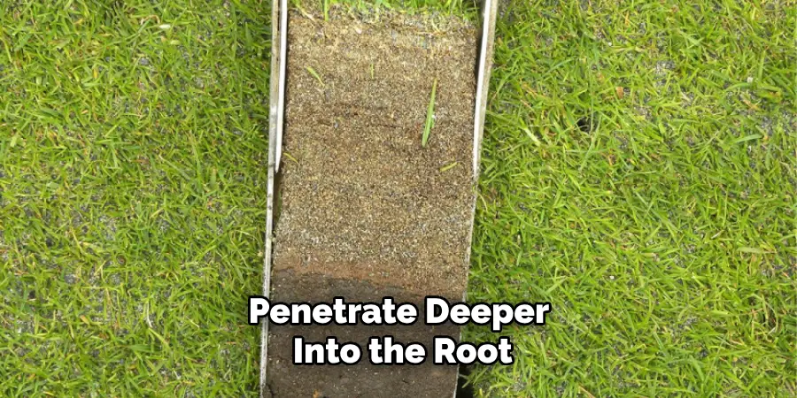 Penetrate Deeper Into the Root