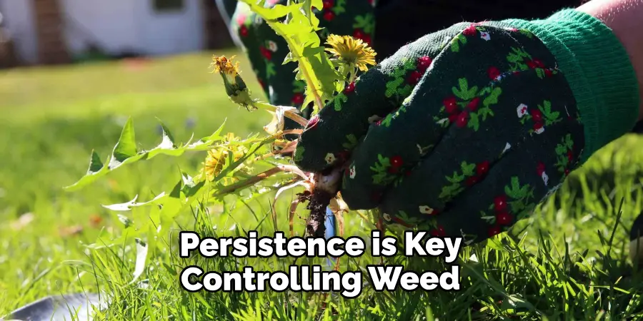  Persistence is Key Controlling Weed