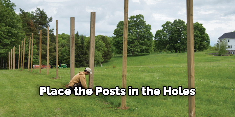 Place the Posts in the Holes