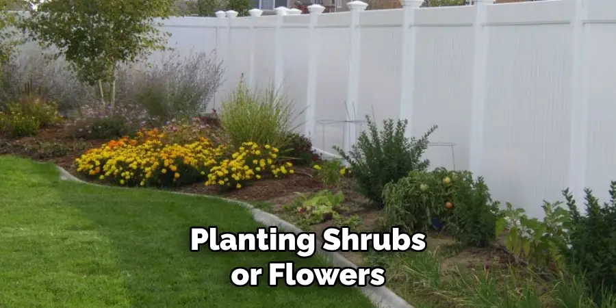 Planting Shrubs or Flowers