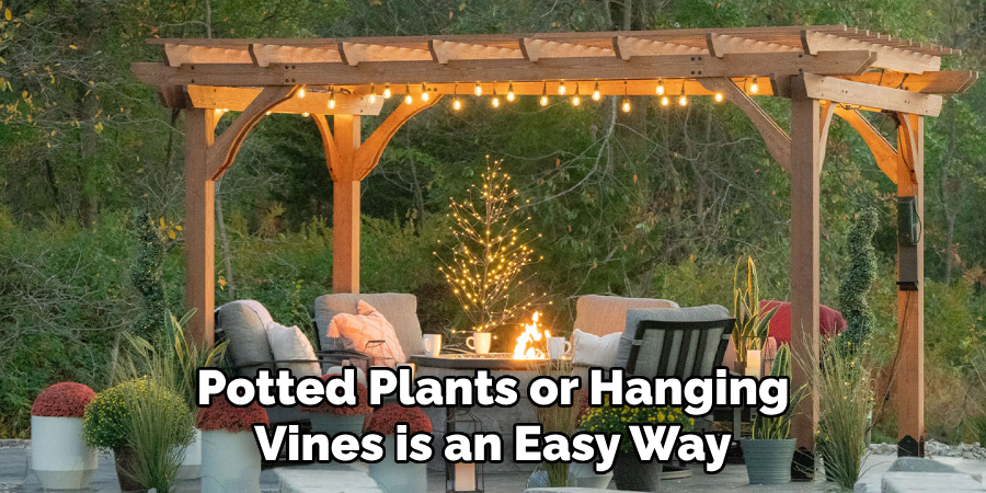 Potted Plants or Hanging Vines is an Easy Way