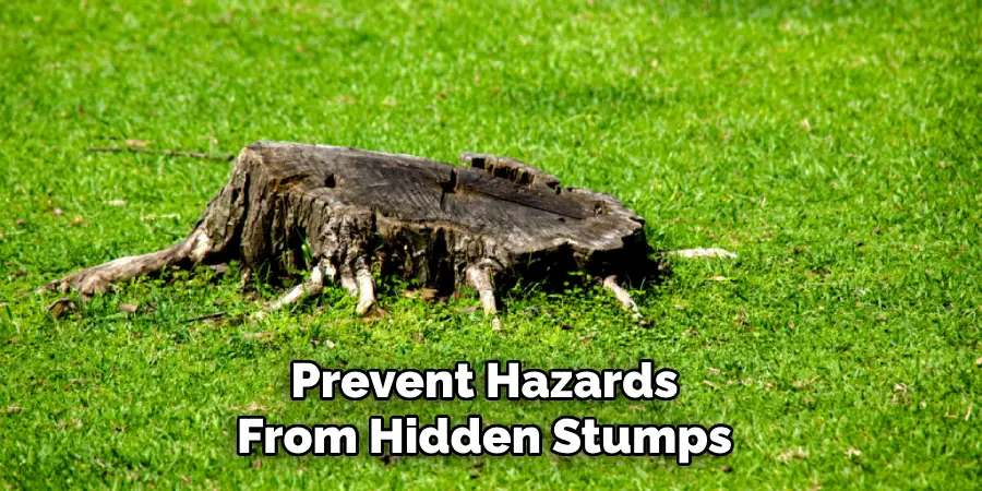 Prevent Hazards From Hidden Stumps or Branches