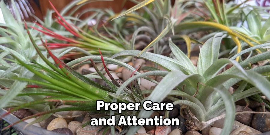 Proper Care and Attention