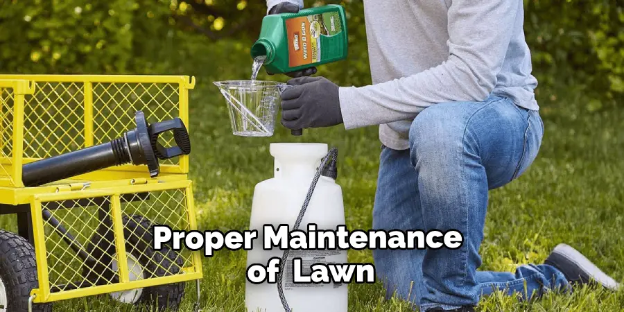 Proper Maintenance of Your Lawn