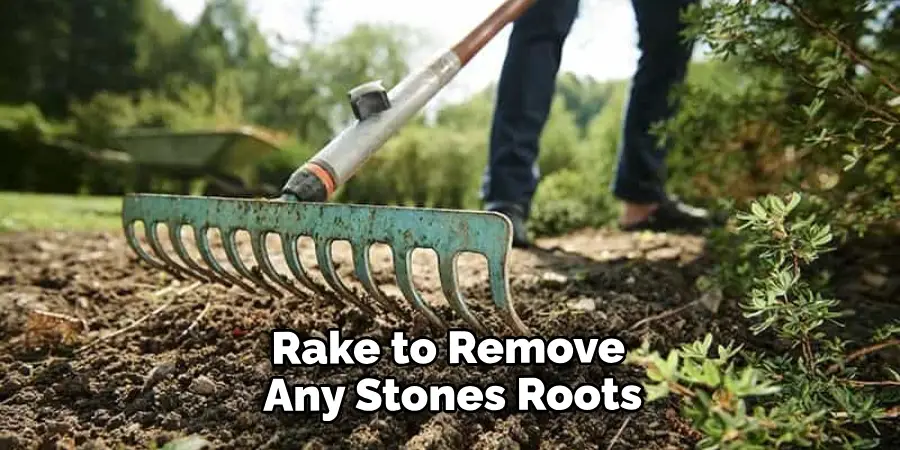 Rake to Remove Any Stones Roots