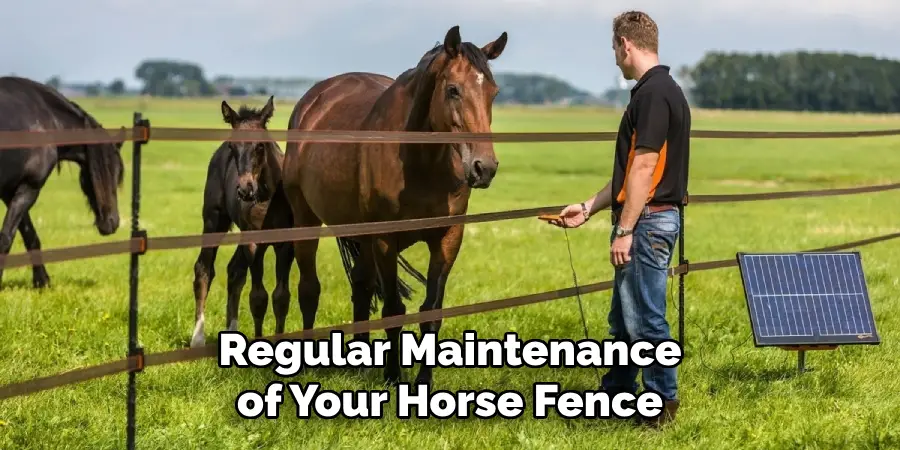 Regular Maintenance of Your Horse Fence