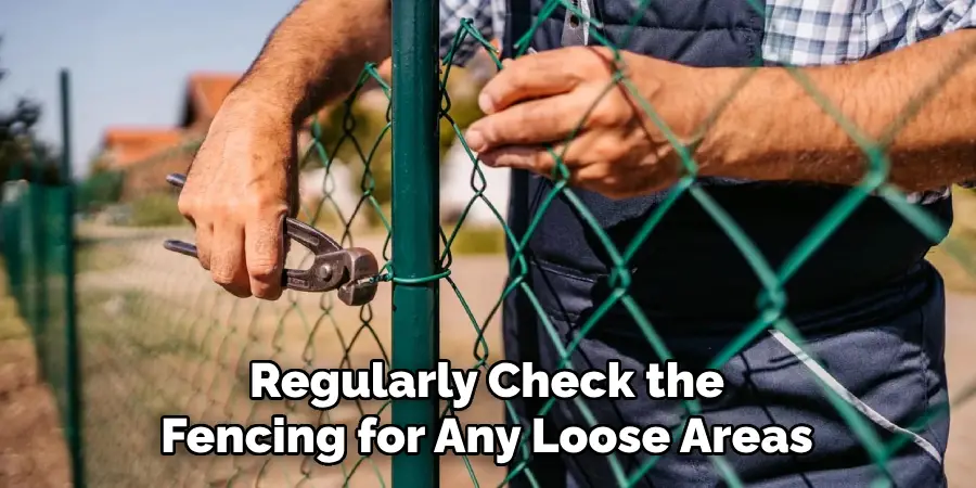 Regularly Check the Fencing for Any Loose Areas