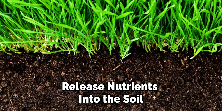 Release Nutrients Into the Soil