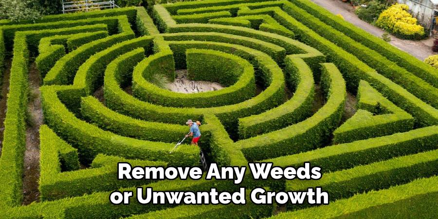 Remove Any Weeds or Unwanted Growth