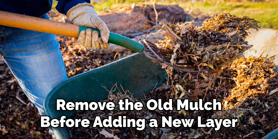 Remove the Old Mulch Before Adding a New Layer