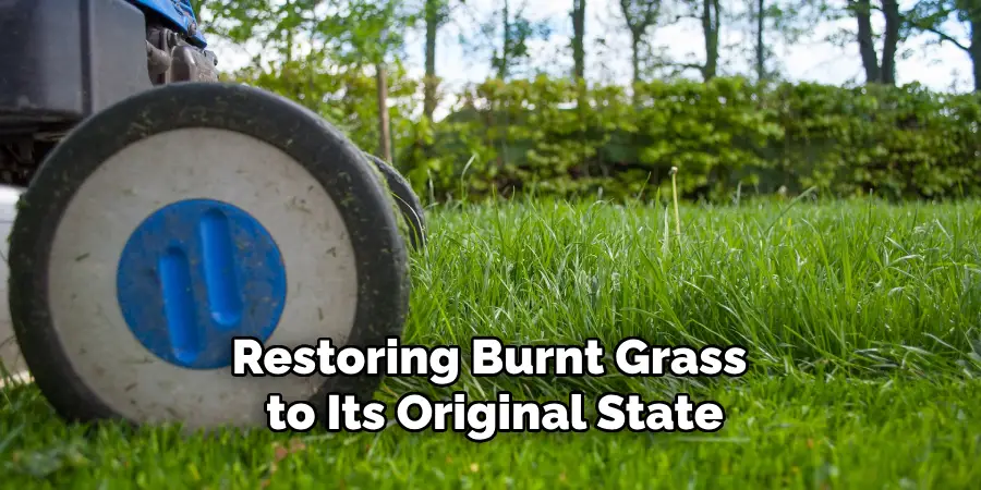 Restoring Burnt Grass to Its Original State