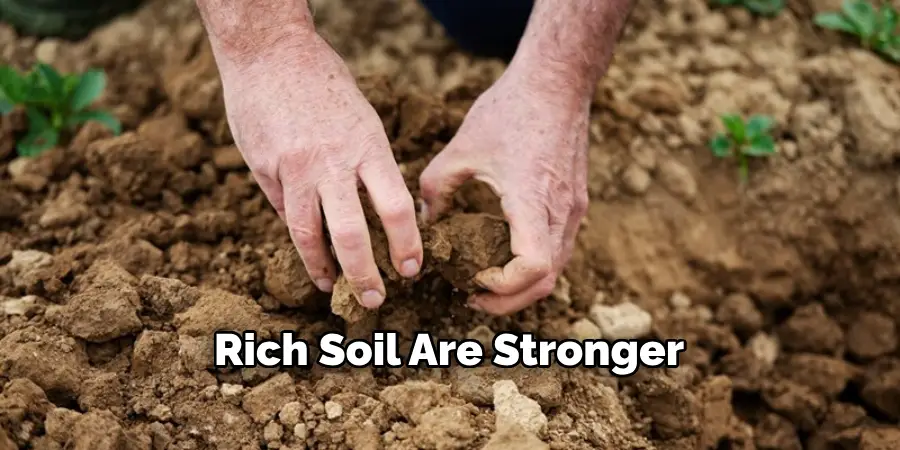 Rich Soil Are Stronger