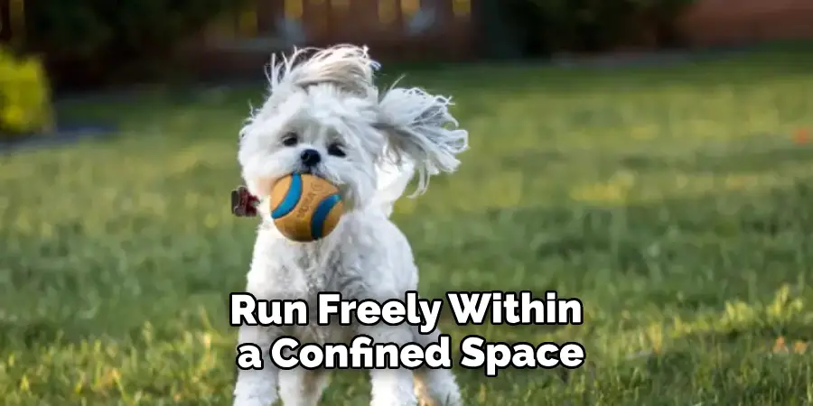 Run Freely and Play Within a Confined Space