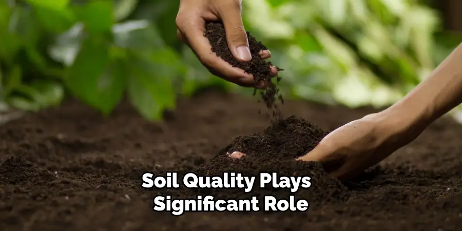 Soil Quality Plays a Significant Role 