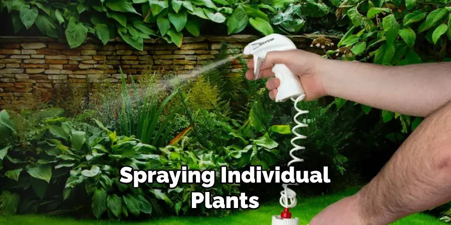 Spraying Individual Plants