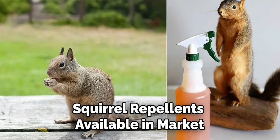 Squirrel Repellents Available in Market