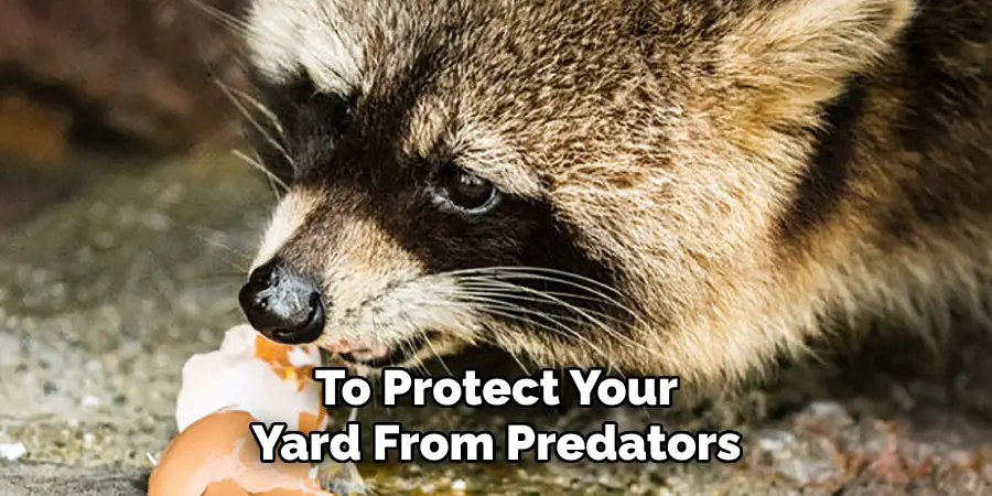 To Protect Your Yard From Predators