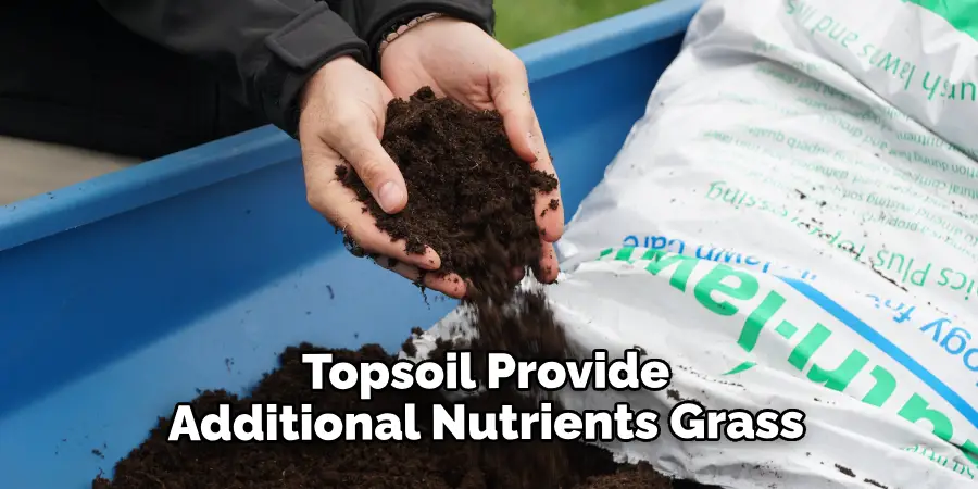 Topsoil Provide Additional Nutrients Grass 