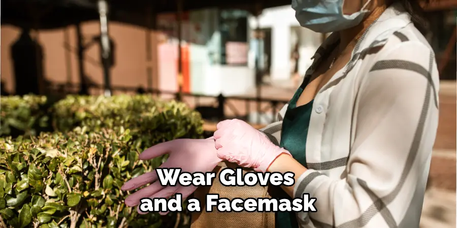 Wear Gloves and a Facemask