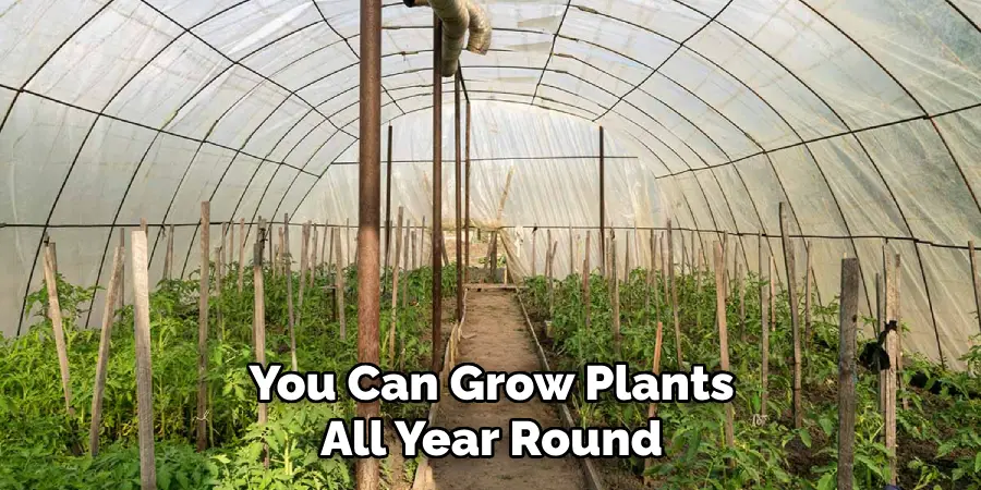 You Can Grow Plants All Year Round