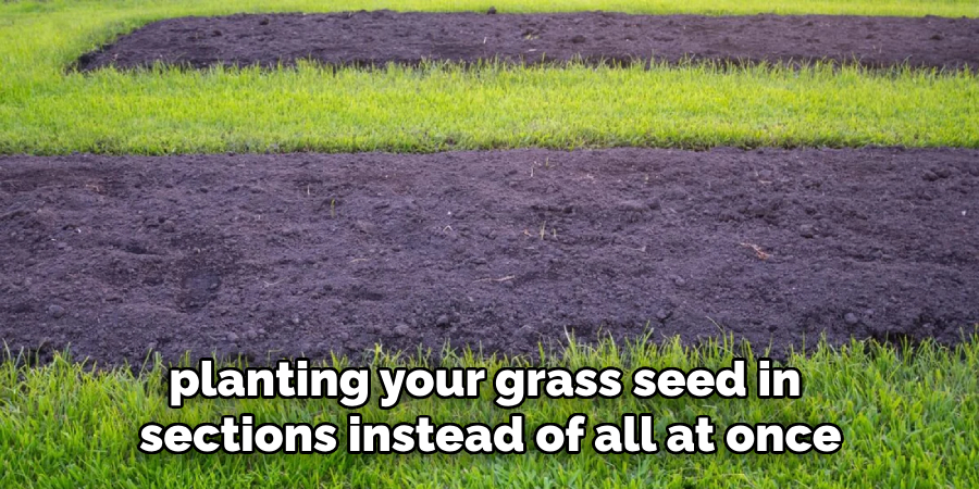 planting your grass seed in sections instead of all at once