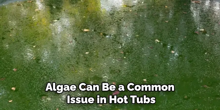 Algae Can Be a Common Issue in Hot Tubs