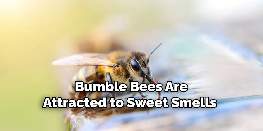 Bumble Bees Are Attracted to Sweet Smells 