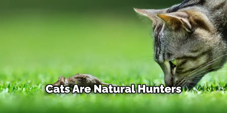 Cats Are Natural Hunters