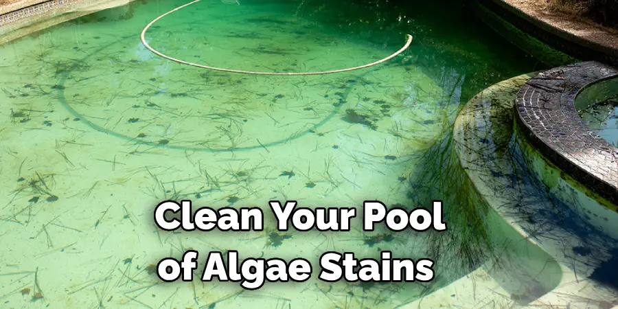  Clean Your Pool of Algae Stains