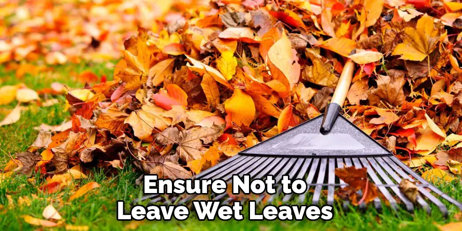 Ensure Not to Leave Wet Leaves