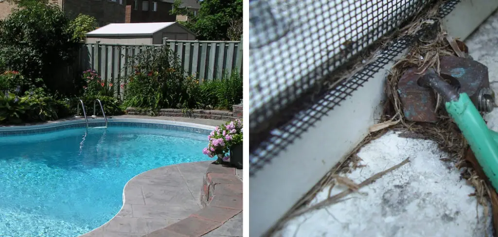 How to Attach Bonding Lug to Pool