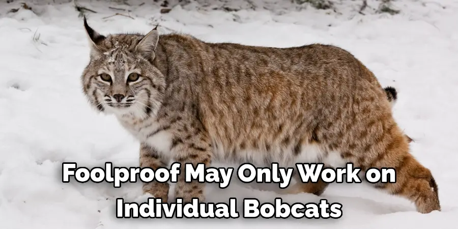 Foolproof and May Only Work on Some Individual Bobcats