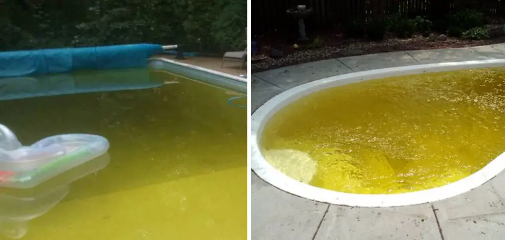 How to Get Yellow Pollen out Of Pool