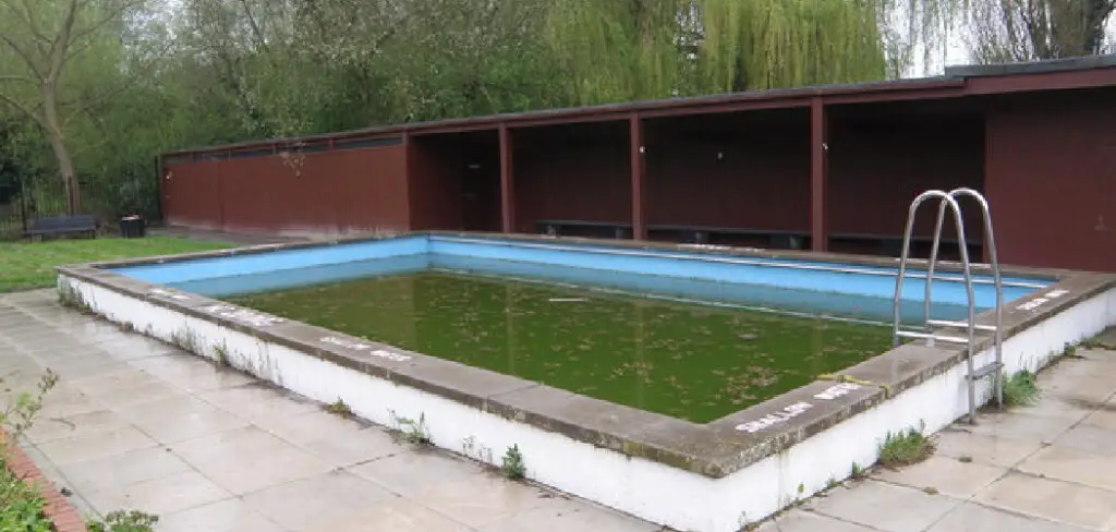 How to Kill Mustard Algae in A Pool