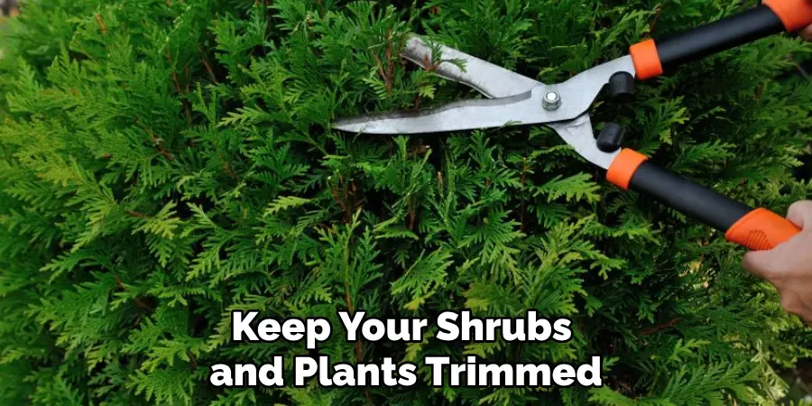 Keep Your Shrubs and Plants Trimmed