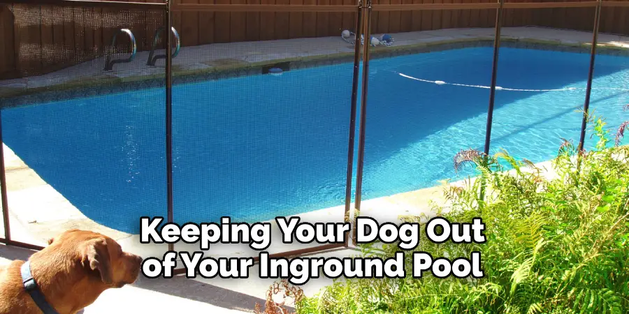 Keeping Your Dog Out of Your Inground Pool