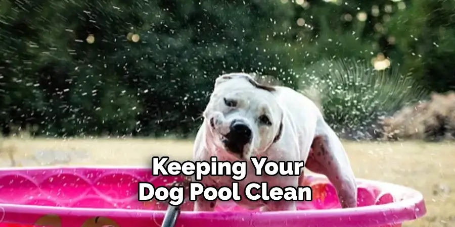 Keeping Your Dog Pool Clean 