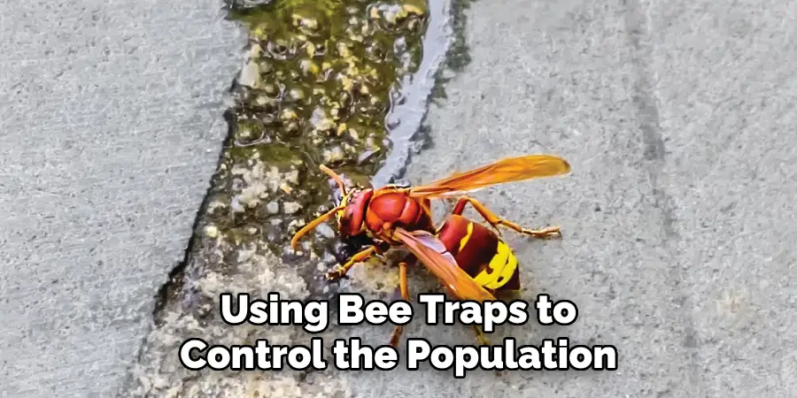  Using Bee Traps to Control the Population