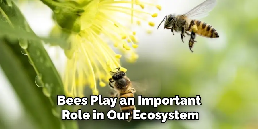 Bees Play an Important Role in Our Ecosystem