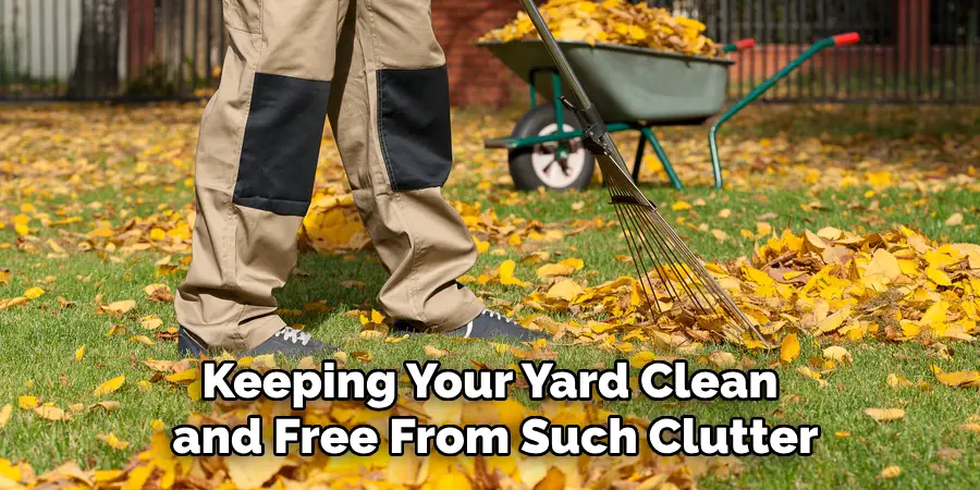 Keeping Your Yard Clean and Free From Such Clutter