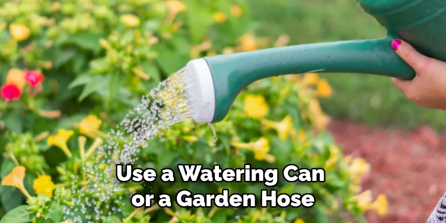 Use a Watering Can or a Garden Hose