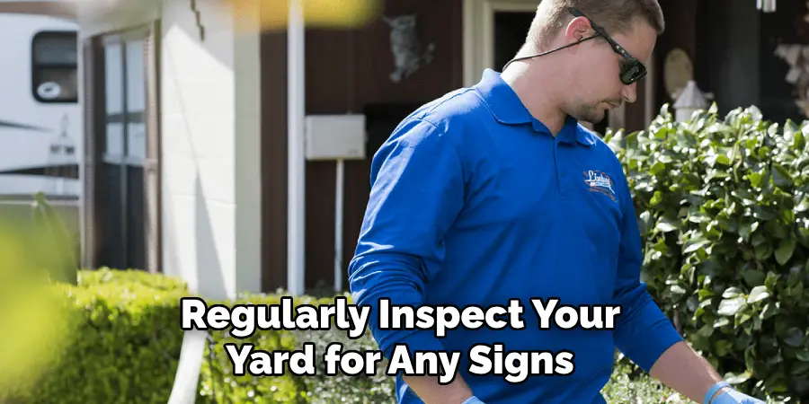 Regularly Inspect Your Yard for Any Signs 